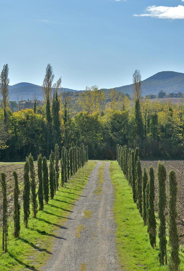 Podere La Querciola جوارديستالو المظهر الخارجي الصورة